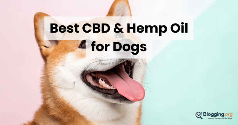 Best CBD & Hemp Oil for Dogs (2026) – Top 10 Reviewed