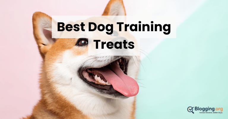Best Dog Training Treats (2026) – Top 10 Reviewed