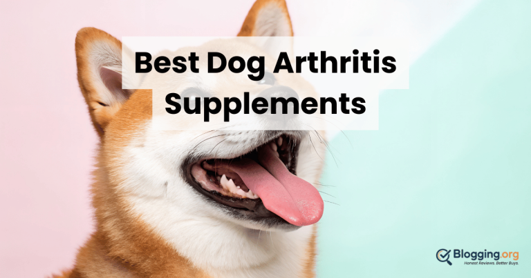 Best Dog Arthritis Supplements (2026) – Top 10 Reviewed