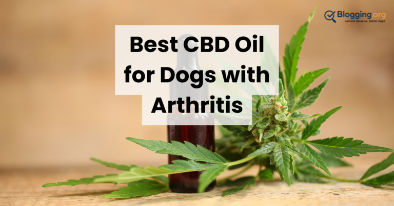 9 Best CBD Oil for Dogs with Arthritis (2026)