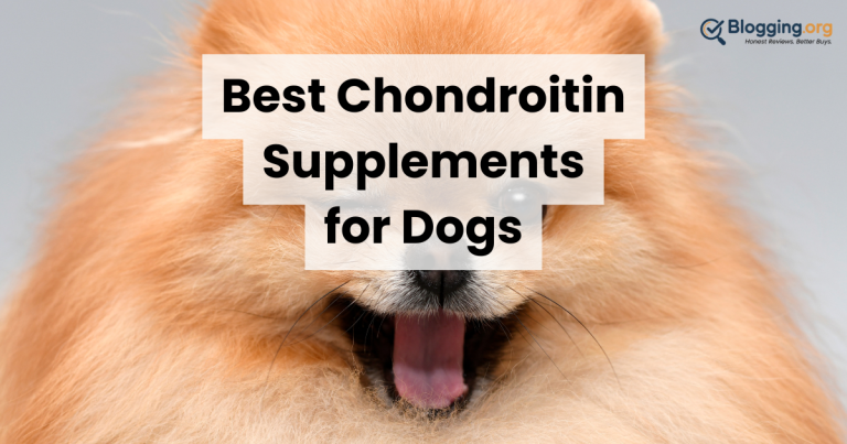 9 Best Chondroitin Supplements for Dogs (2026) Reviewed