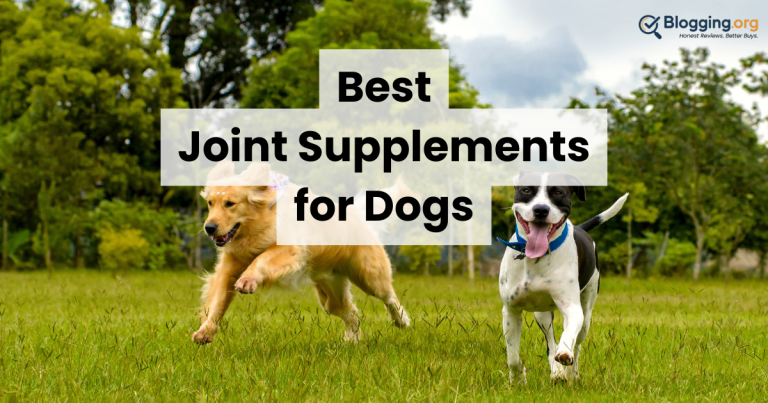 9 Best Joint Supplements for Dogs (2026) Reviewed