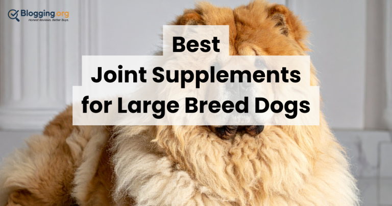 9 Best Joint Supplements for Large Breed Dogs (2026)