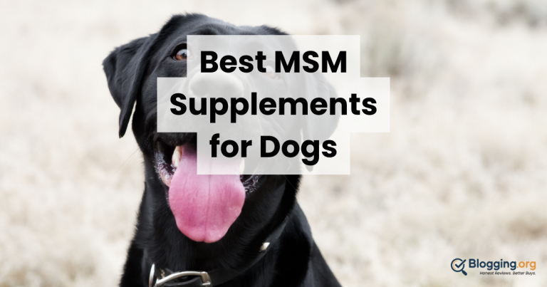 9 Best MSM Supplements for Dogs (2026) Reviewed
