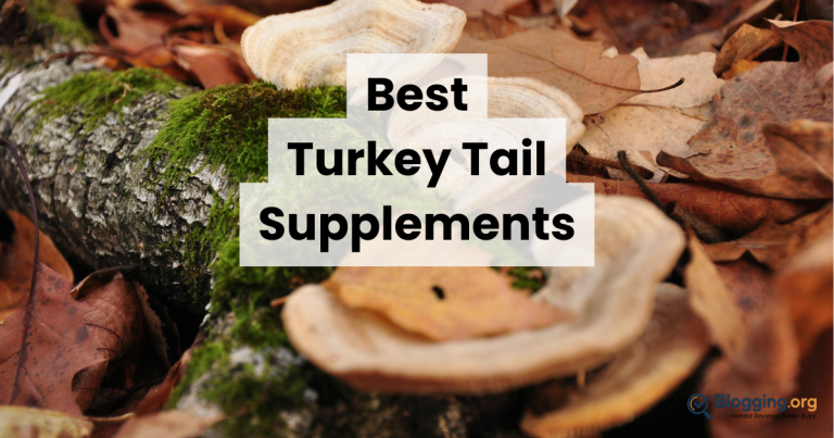 10 Best Turkey Tail Supplements (2026) Reviewed