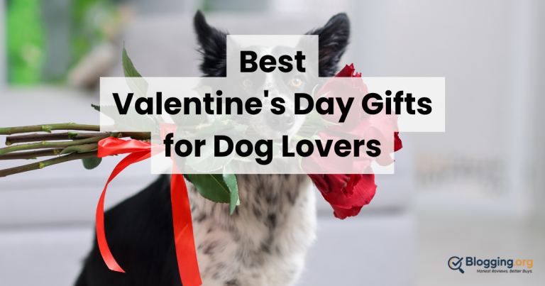 Best Valentine’s Day Gifts for Dog Lovers (2026) Reviewed