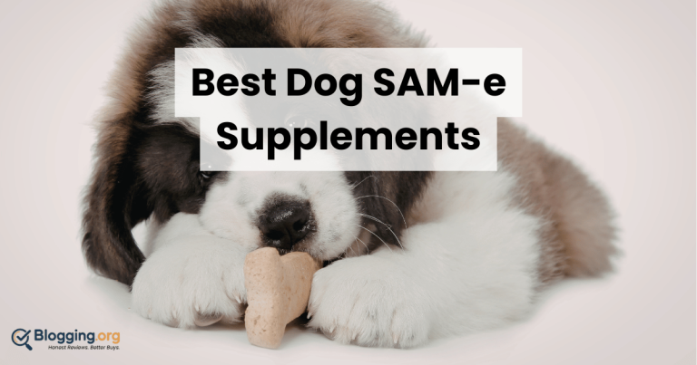 Best Dog SAM-e Supplements (2026) – Top 10 Reviewed