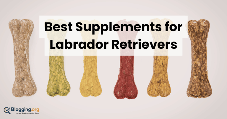 Best Supplements for Labrador Retrievers (2026) – Top 10 Reviewed