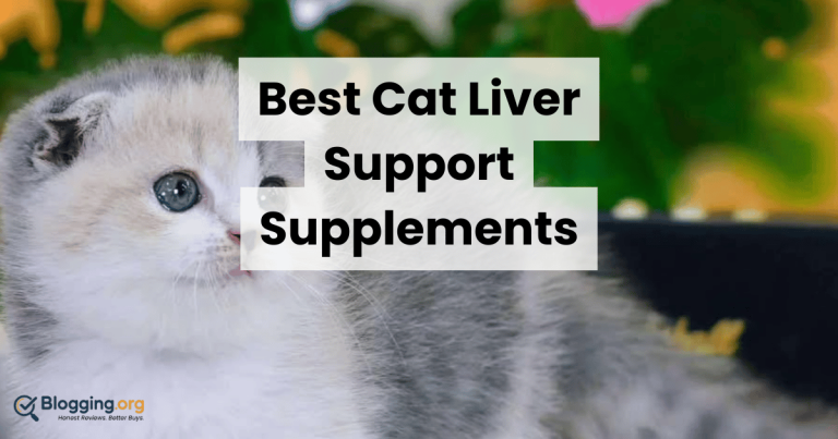 Best Cat Liver Support Supplements (2026) – Top 10 Reviewed