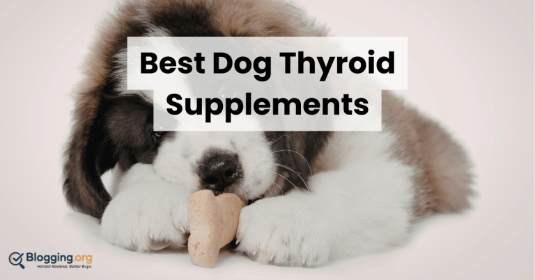 Best Dog Thyroid Supplements (2026) – Top 10 Reviewed