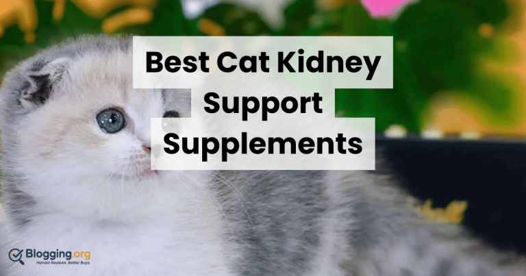 Best Cat Kidney Support Supplements (2026) – Top 10 Reviewed