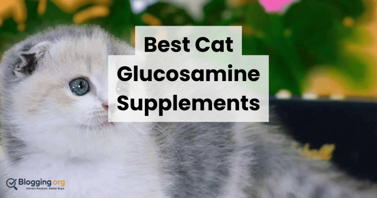 Best Cat Glucosamine Supplements (2026) – Top 10 Reviewed
