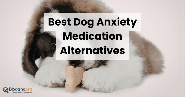 Best Dog Heart Supplements (2026) – Top 10 Reviewed