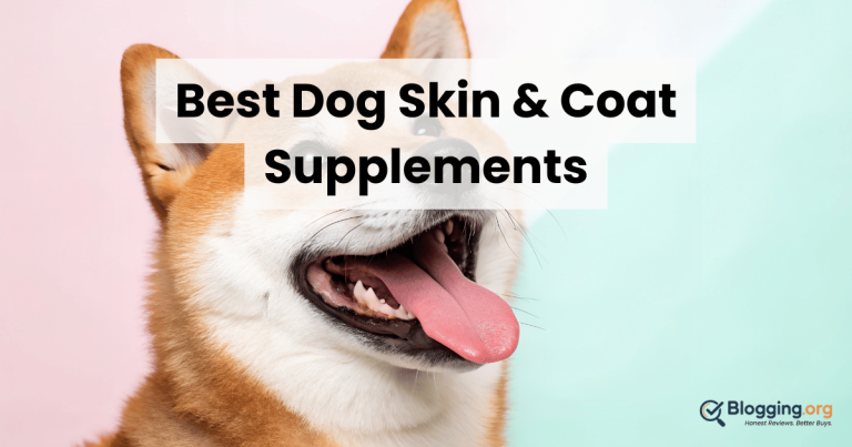 Best Dog Skin & Coat Supplements (2026) – Top 10 Reviewed