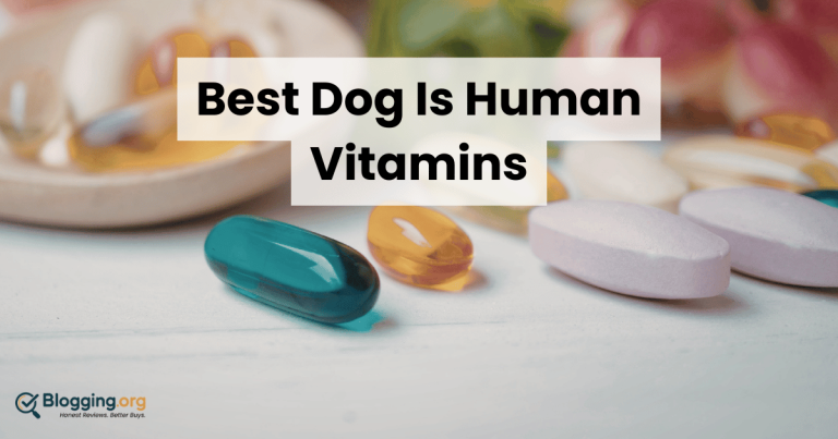 Best Dog Is Human Vitamins