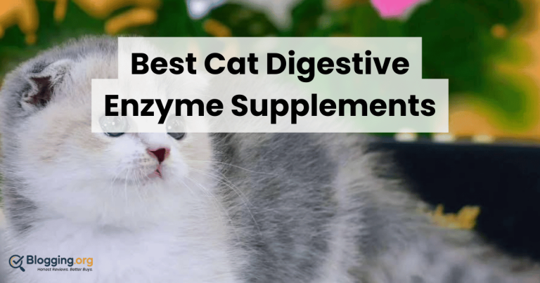 Best Cat Digestive Enzyme Supplements (2026) – Top 10 Reviewed