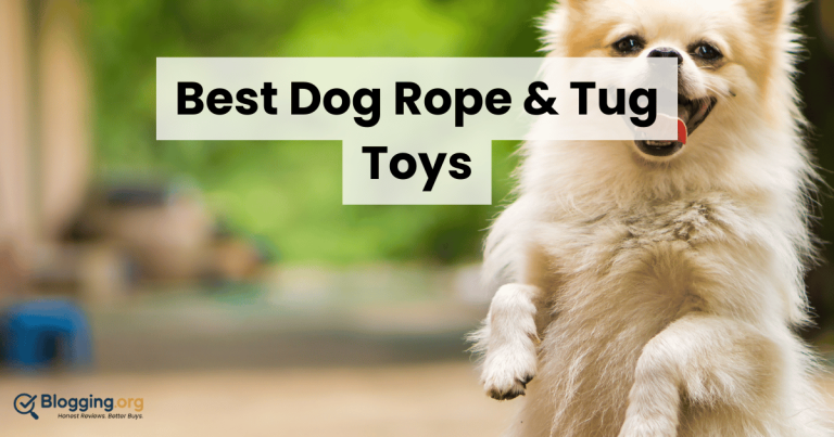 Best Dog Rope & Tug Toys (2026) – Top 10 Reviewed