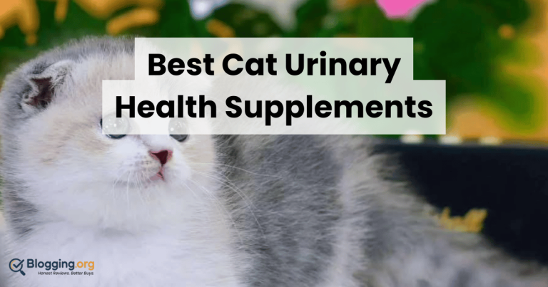 Best Cat Urinary Health Supplements (2026) – Top 10 Reviewed