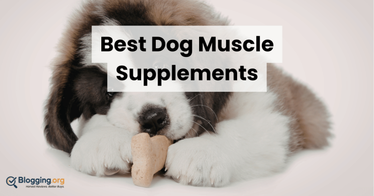 Best Dog Muscle Supplements (2026) – Top 10 Reviewed
