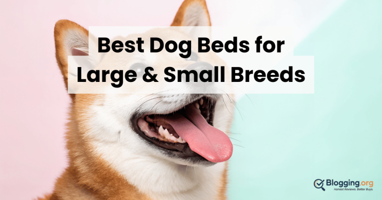 Best Dog Beds for Large & Small Breeds (2026) – Top 10 Reviewed