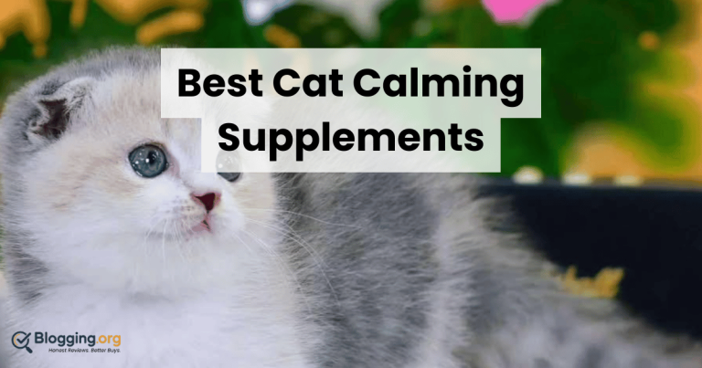 Best Cat Calming Supplements (2026) – Top 10 Reviewed