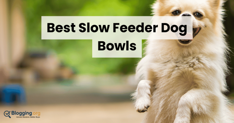 Best Slow Feeder Dog Bowls (2026) – Top 10 Reviewed