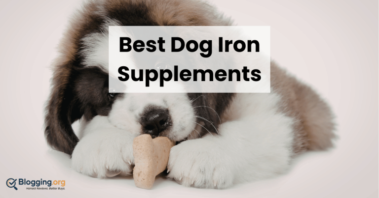Best Dog Iron Supplements (2026) – Top 10 Reviewed