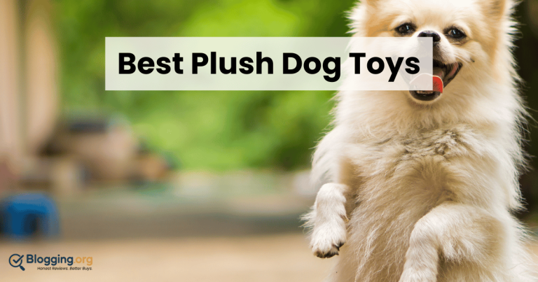 Best Plush Dog Toys (2026) – Top 10 Reviewed
