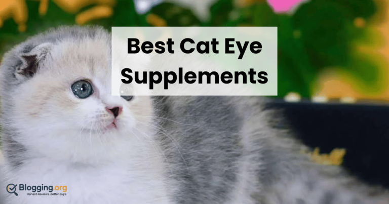 Best Cat Eye Supplements (2026) – Top 10 Reviewed