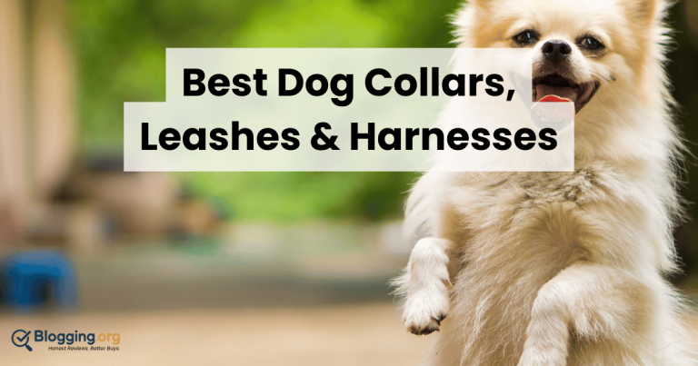 Best Dog Collars, Leashes & Harnesses (2026) – Top 10 Reviewed
