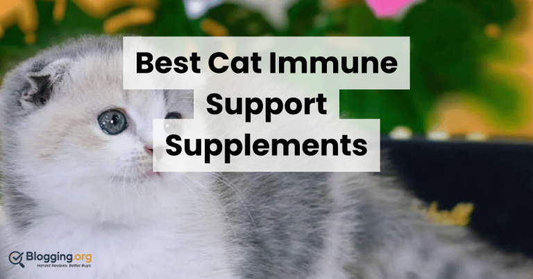 Best Cat Immune Support Supplements (2026) – Top 10 Reviewed