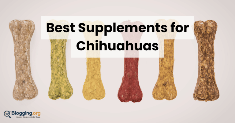 Best Supplements for Chihuahuas (2026) – Top 10 Reviewed
