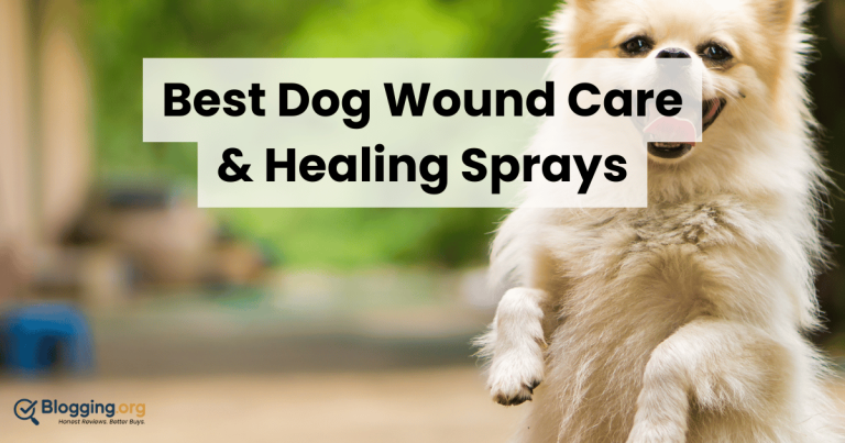 Best Dog Wound Care & Healing Sprays (2026) – Top 10 Reviewed