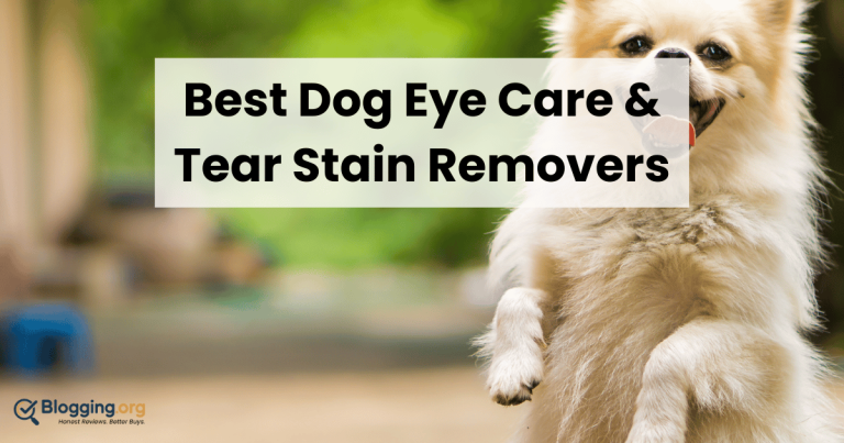 Best Dog Eye Care & Tear Stain Removers (2026) – Top 10 Reviewed