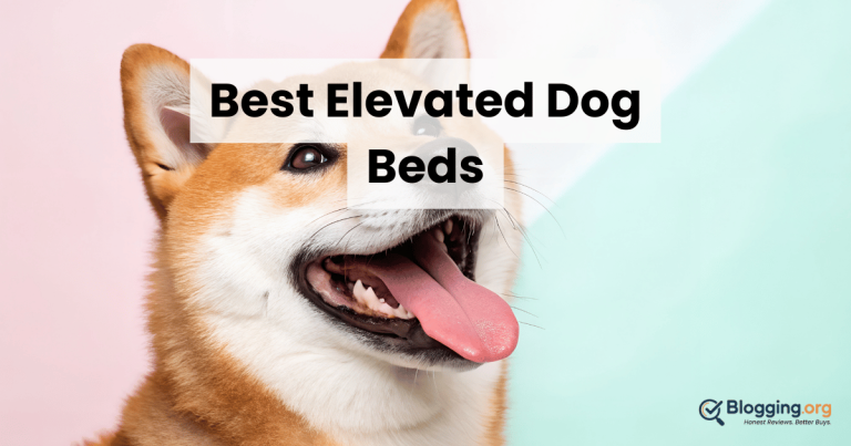 Best Elevated Dog Beds (2026) – Top 10 Reviewed