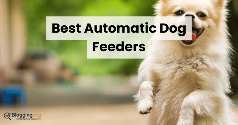 Best Dog Bowls & Automatic Feeders (2026) – Top 10 Reviewed