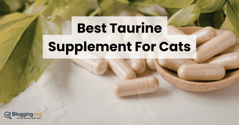Best Taurine Supplement For Cats
