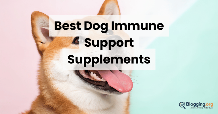 Best Dog Immune Support Supplements (2026) – Top 10 Reviewed