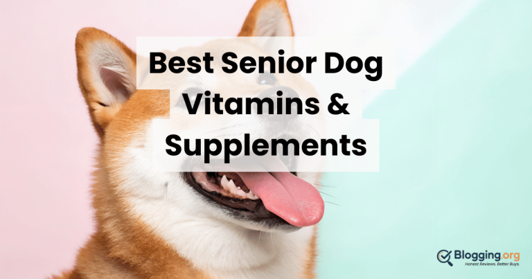 Best Senior Dog Vitamins & Supplements (2026) – Top 10 Reviewed