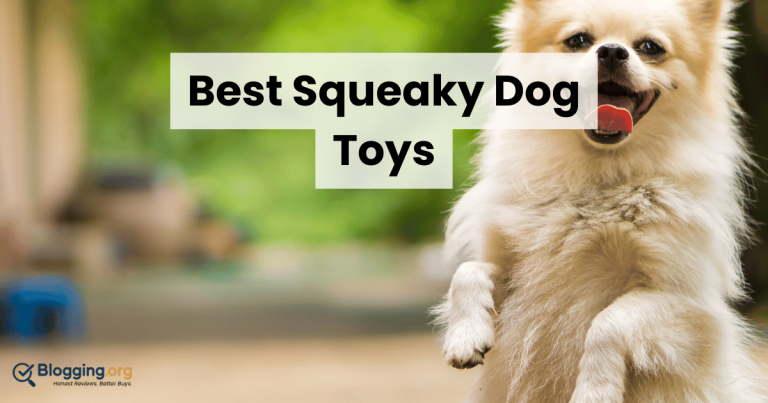 Best Squeaky Dog Toys (2026) – Top 10 Reviewed