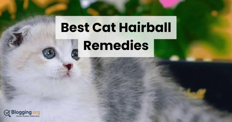 Best Cat Hairball Remedies (2026) – Top 10 Reviewed