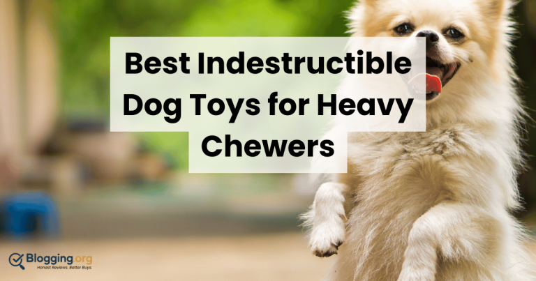 Best Dog Toys for Chewers & Playtime (2026) – Top 10 Reviewed