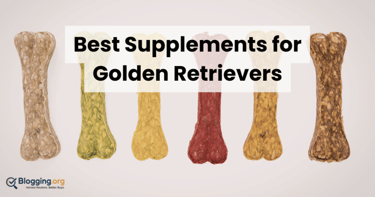 Best Supplements for Golden Retrievers (2026) – Top 10 Reviewed