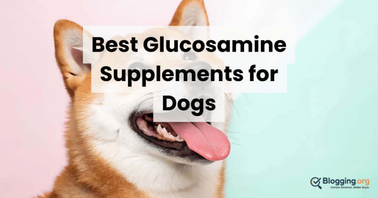 Best Glucosamine Supplements for Dogs (2026) – Top 10 Reviewed