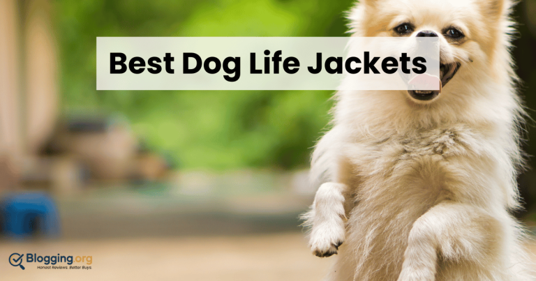Best Dog Life Jackets (2026) – Top 10 Reviewed