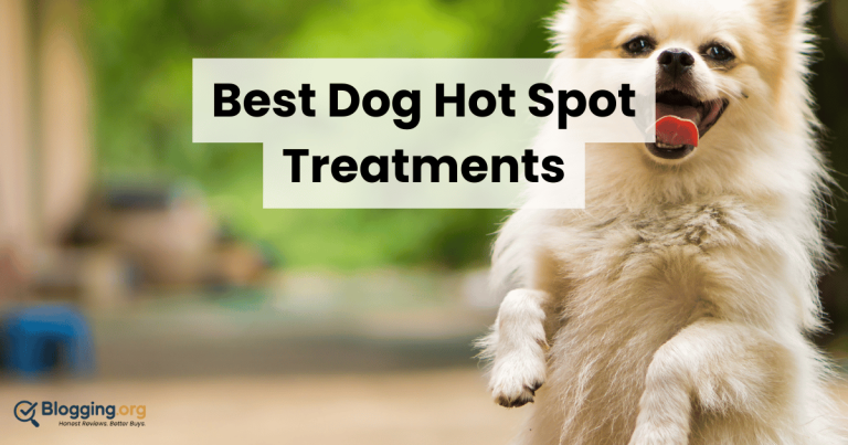 Best Dog Hot Spot Treatments (2026) – Top 10 Reviewed
