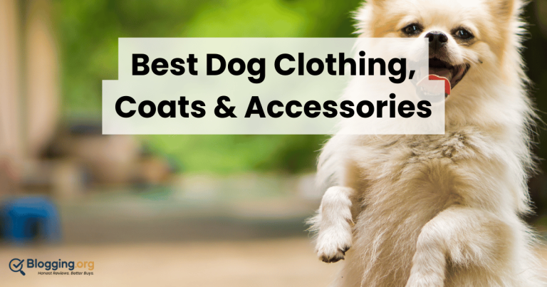 Best Dog Clothing, Coats & Accessories (2026) – Top 10 Reviewed