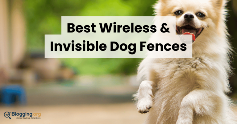 Best Wireless & Invisible Dog Fences (2026) – Top 10 Reviewed