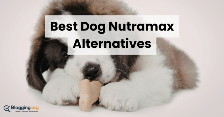 Best Dog Nutramax Alternatives (2026) – Top 10 Reviewed