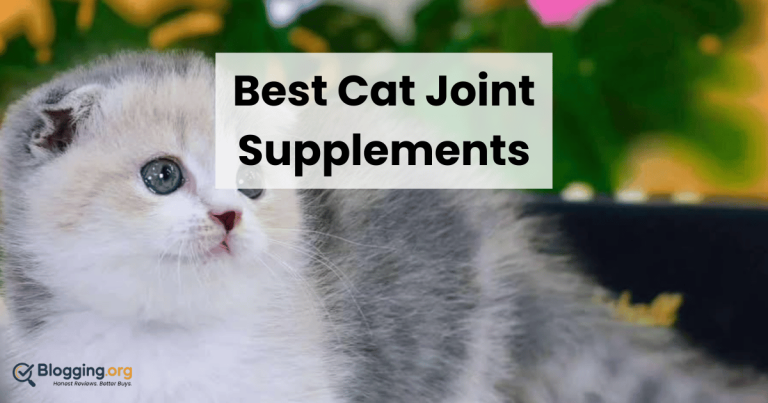 Best Cat Joint Supplements (2026) – Top 10 Reviewed
